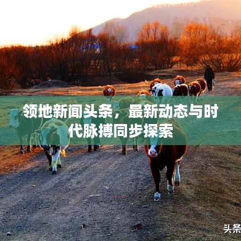 领地新闻头条，最新动态与时代脉搏同步探索