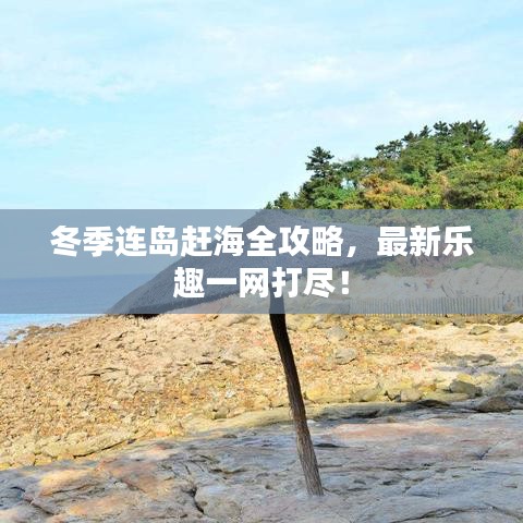 冬季连岛赶海全攻略，最新乐趣一网打尽！