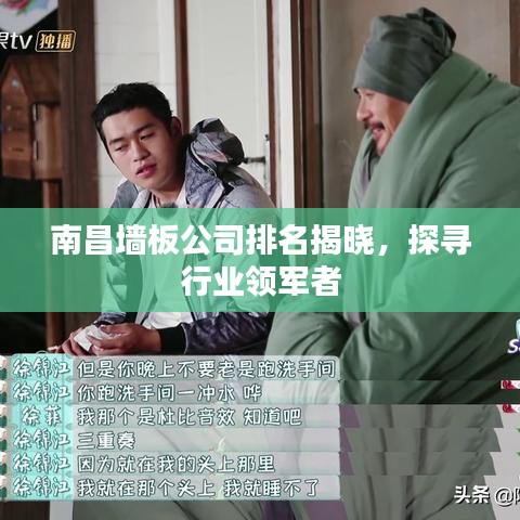 南昌墙板公司排名揭晓，探寻行业领军者