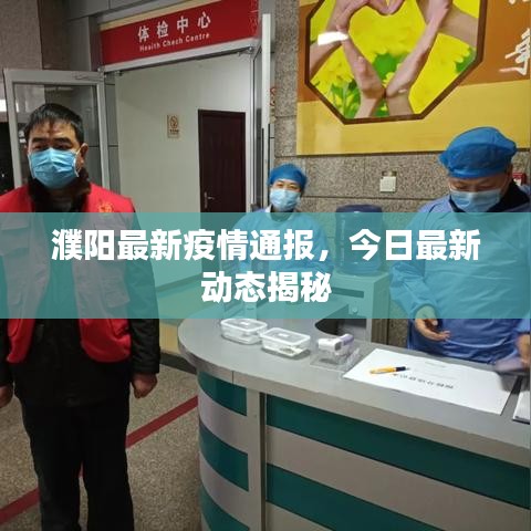 濮阳最新疫情通报，今日最新动态揭秘