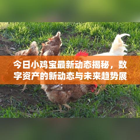 2025年5月24日