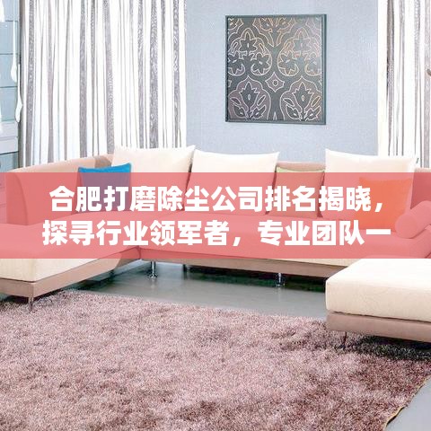 合肥打磨除尘公司排名揭晓，探寻行业领军者，专业团队一览无余！