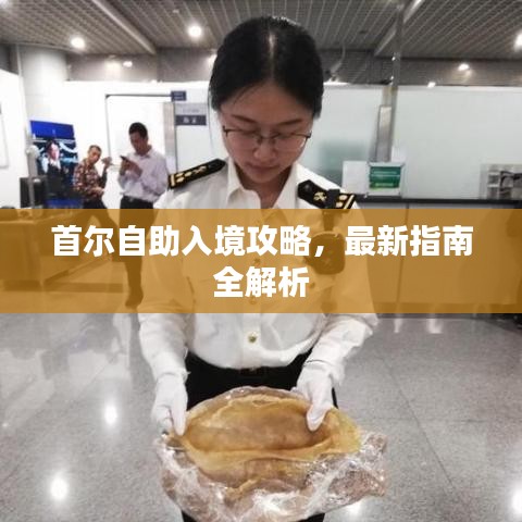 首尔自助入境攻略，最新指南全解析