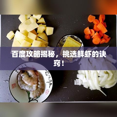 百度攻略揭秘，挑选鲜虾的诀窍！