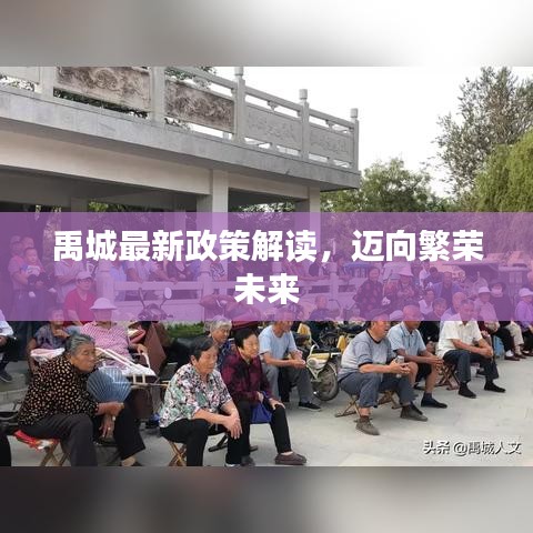禹城最新政策解读，迈向繁荣未来