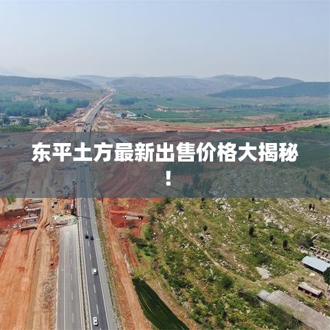 东平土方最新出售价格大揭秘！