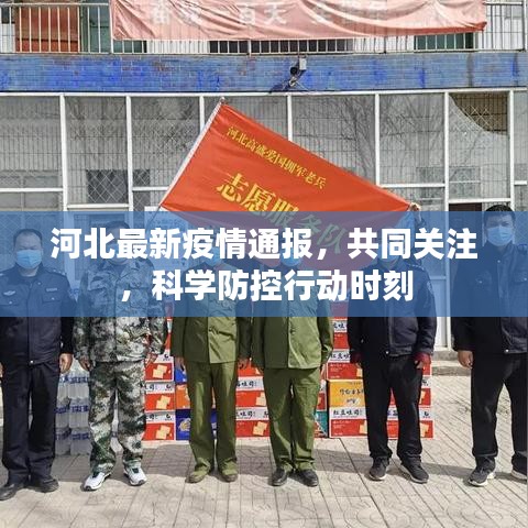 河北最新疫情通报，共同关注，科学防控行动时刻
