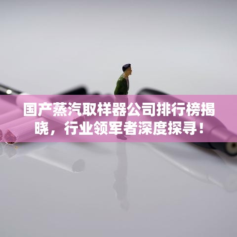 国产蒸汽取样器公司排行榜揭晓，行业领军者深度探寻！