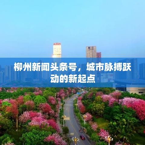 柳州新闻头条号，城市脉搏跃动的新起点