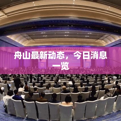 舟山最新动态，今日消息一览
