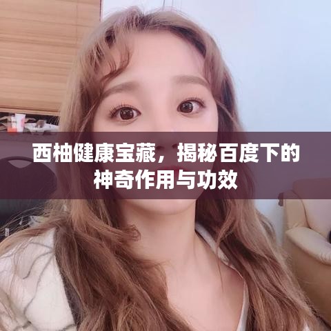 西柚健康宝藏，揭秘百度下的神奇作用与功效