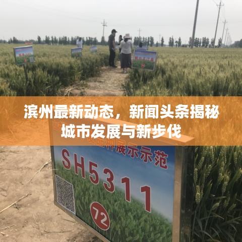 滨州最新动态，新闻头条揭秘城市发展与新步伐