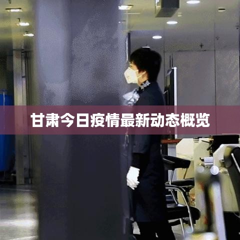 甘肃今日疫情最新动态概览