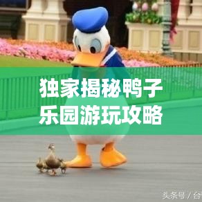 独家揭秘鸭子乐园游玩攻略，留下美好回忆！