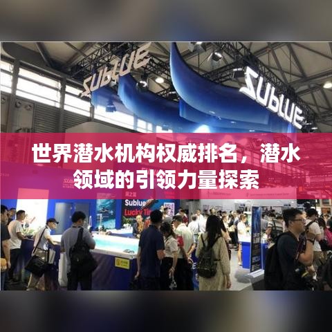 世界潜水机构权威排名，潜水领域的引领力量探索