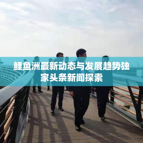 鲤鱼洲最新动态与发展趋势独家头条新闻探索