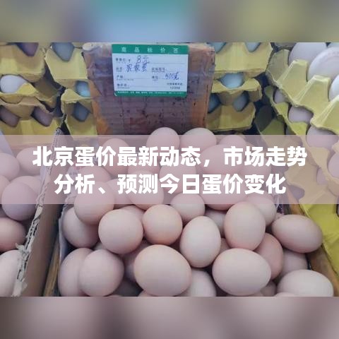 北京蛋价最新动态，市场走势分析、预测今日蛋价变化