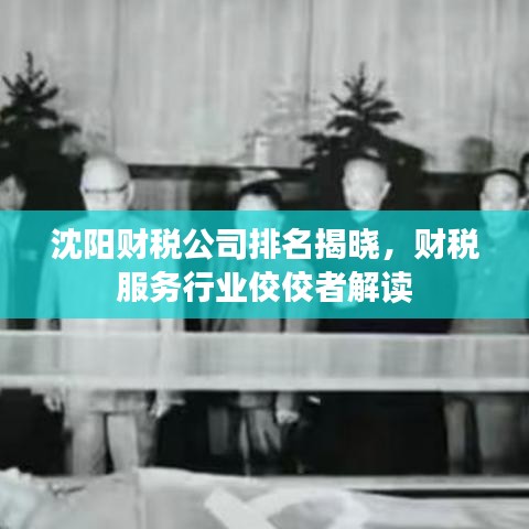 沈阳财税公司排名揭晓，财税服务行业佼佼者解读