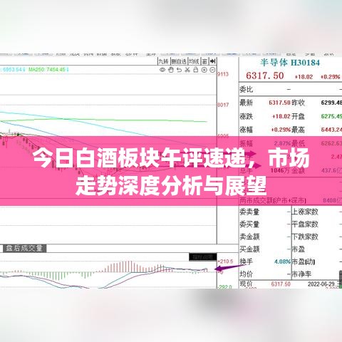 今日白酒板块午评速递，市场走势深度分析与展望