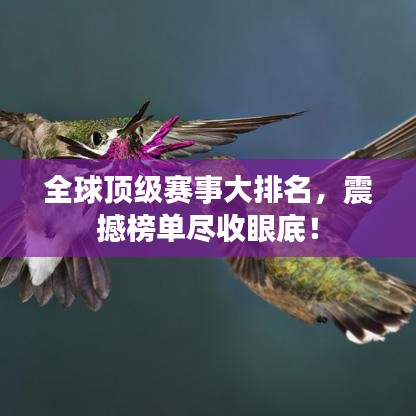 全球顶级赛事大排名，震撼榜单尽收眼底！