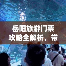 岳阳旅游门票攻略全解析，带你玩转岳阳！