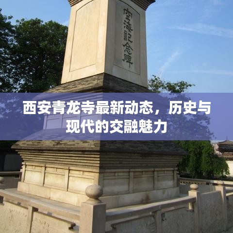西安青龙寺最新动态，历史与现代的交融魅力