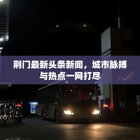 荆门最新头条新闻，城市脉搏与热点一网打尽