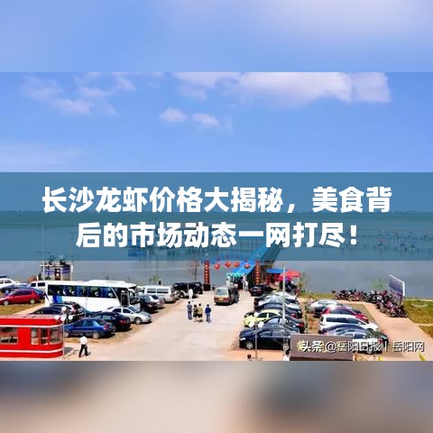 长沙龙虾价格大揭秘，美食背后的市场动态一网打尽！