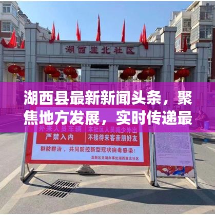 湖西县最新新闻头条，聚焦地方发展，实时传递最新资讯