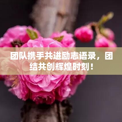 团队携手共进励志语录，团结共创辉煌时刻！