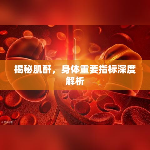 揭秘肌酐，身体重要指标深度解析