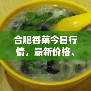 合肥香菜今日行情，最新价格、市场走势及影响因素深度解析