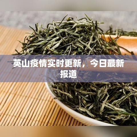 英山疫情实时更新，今日最新报道