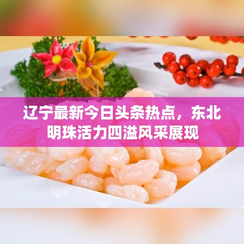 辽宁最新今日头条热点，东北明珠活力四溢风采展现