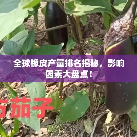 全球橡皮产量排名揭秘，影响因素大盘点！