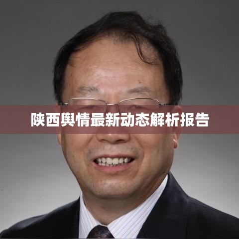 公司动态 第452页
