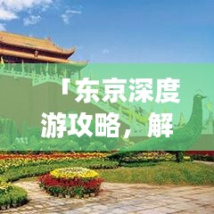 公司动态 第451页