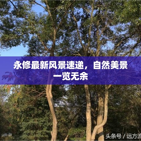 永修最新风景速递，自然美景一览无余