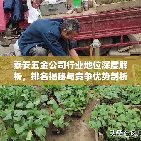 泰安五金公司行业地位深度解析，排名揭秘与竞争优势剖析