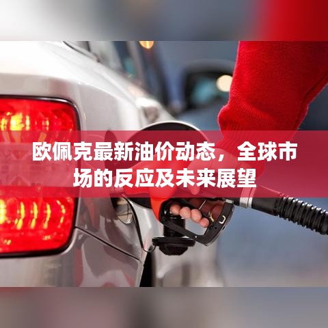 欧佩克最新油价动态，全球市场的反应及未来展望