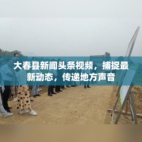 大春县新闻头条视频，捕捉最新动态，传递地方声音