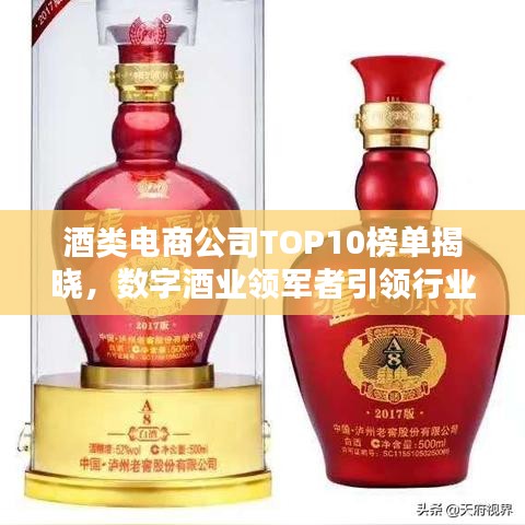酒类电商公司TOP10榜单揭晓，数字酒业领军者引领行业新风向
