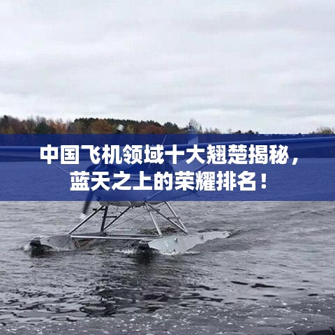 中国飞机领域十大翘楚揭秘，蓝天之上的荣耀排名！