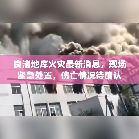 2025年5月29日 第17页