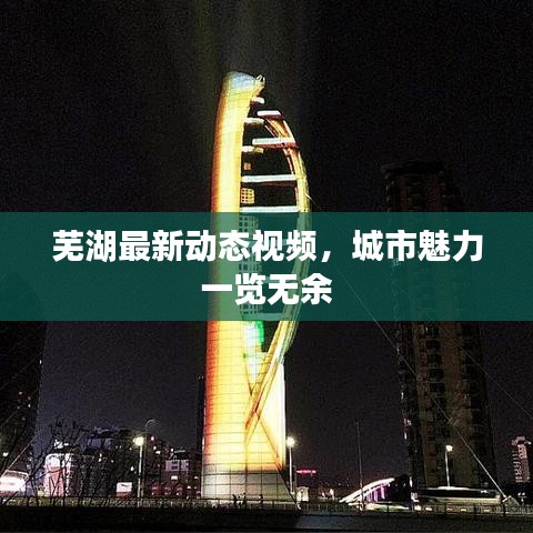 2025年5月29日 第15页