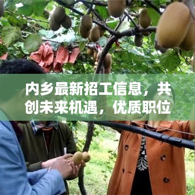 内乡最新招工信息，共创未来机遇，优质职位等你来挑战！