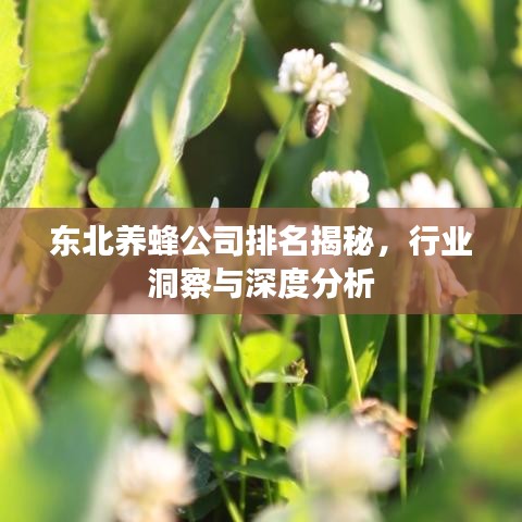 2025年5月29日 第9页