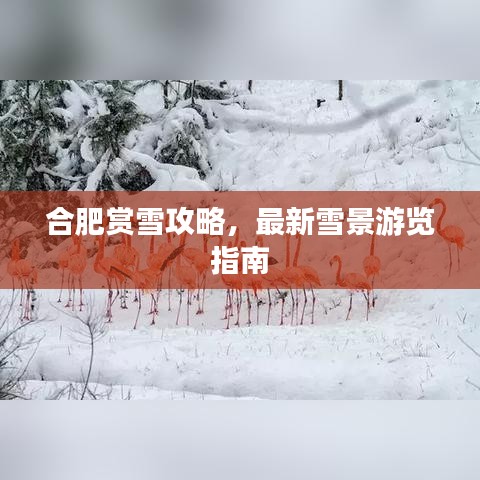 2025年5月29日 第7页