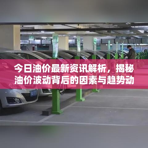 2025年5月29日 第5页