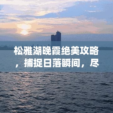 2025年5月30日 第4页
